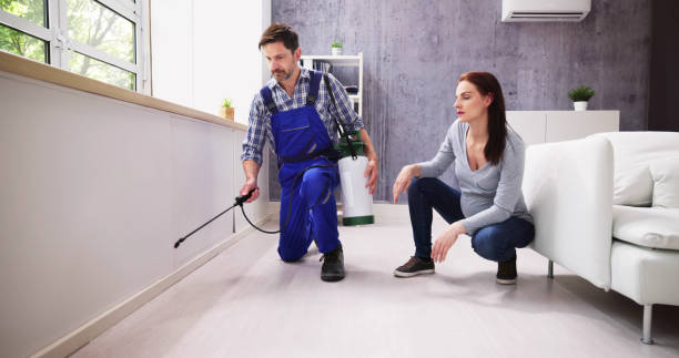 Best Pest Exclusion Services  in Snowflake, AZ